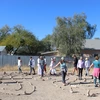 Photo of the Solstice Labyrinth Walk