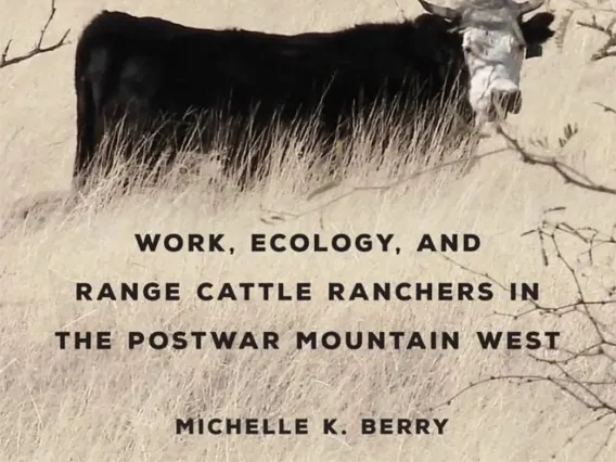 black cow and words "work, ecology, and range cattle ranchers in the postwar mountain west"